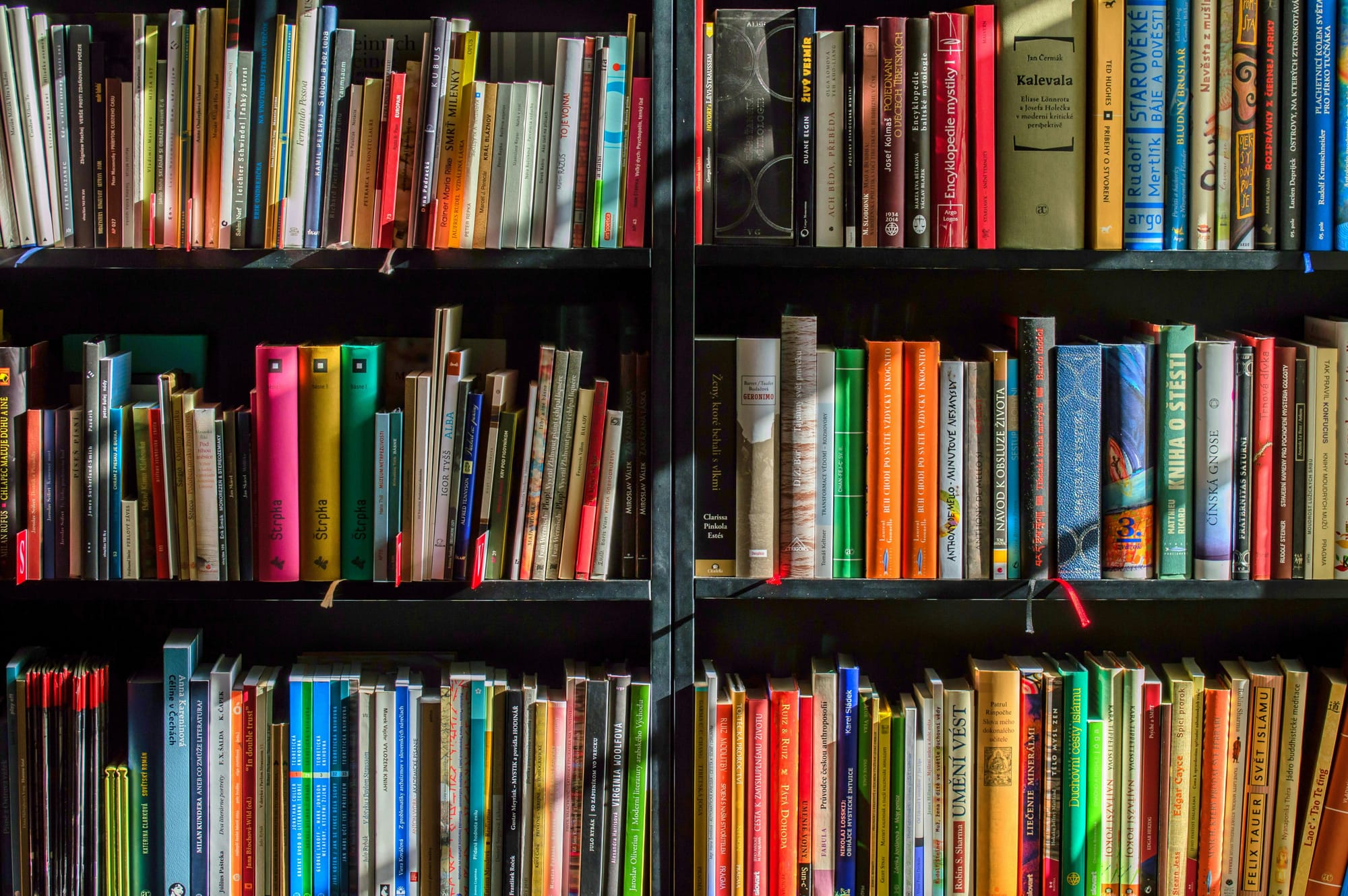 Livros em uma prateleira bem coloridos