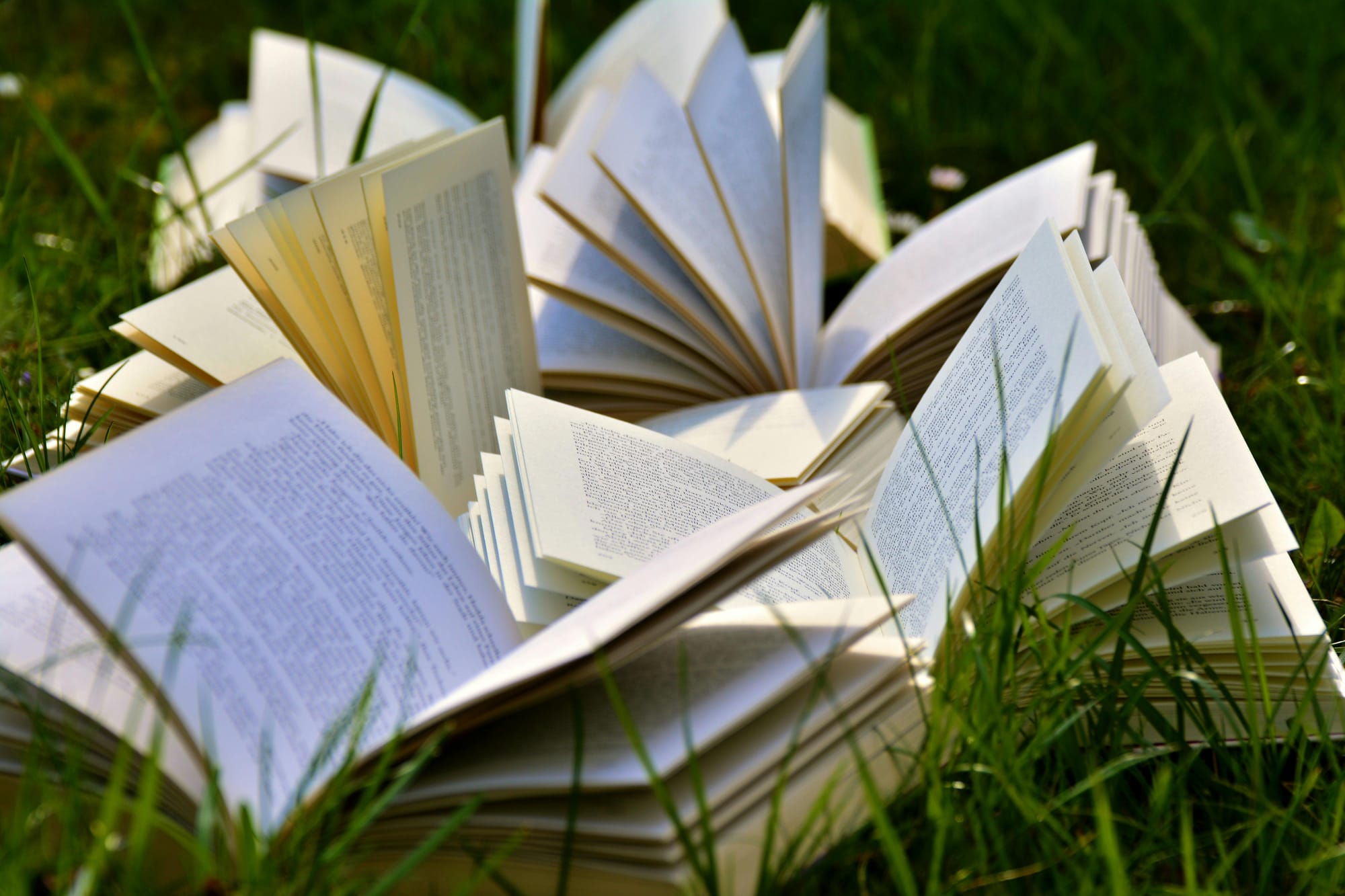 Alguns livros na grama de forma ilustrativa