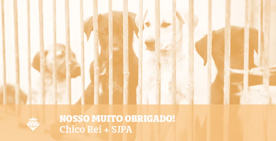 Nosso muito obrigado!